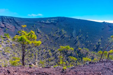 La Palma 'daki San Antonio krateri, Kanarya Adaları, İspanya.