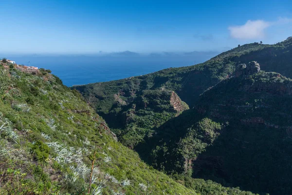 Fertile Valley Palma Canary Islands Spain — Stock Photo, Image