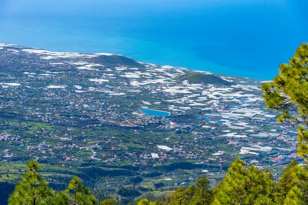 Paysage Agricole Palma Îles Canaries Espagne — Photo