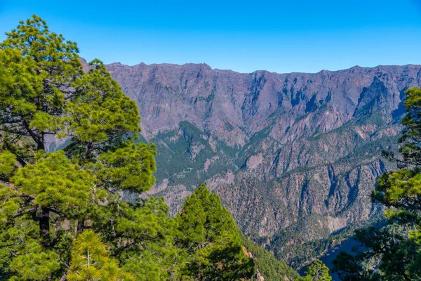 Panorama Caldera Taburiente National Park Palma Pico Bejenado Canary Islands — стокове фото