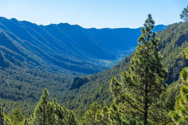 Cumbre Vieja Caldera Taburiente National Park Palma Canary Islands Spain — стокове фото