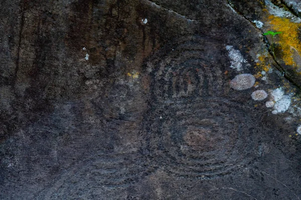 サラザ文化公園 パルマ カナリア諸島 スペインの先住民によって作られた石の彫刻 — ストック写真