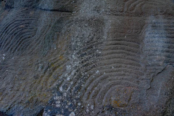 Steingravuren Von Ureinwohnern Des Kulturparks Zarza Palma Kanarische Inseln Spanien — Stockfoto