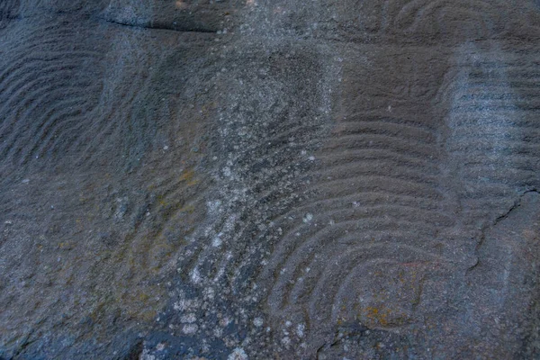 Steingravuren Von Ureinwohnern Des Kulturparks Zarza Palma Kanarische Inseln Spanien — Stockfoto