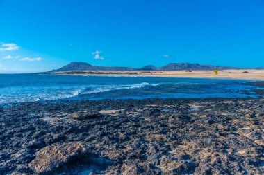 Playa del Moro Fuerteventura 'daki Corralejo kum tepelerinde, Kanarya Adaları, İspanya.