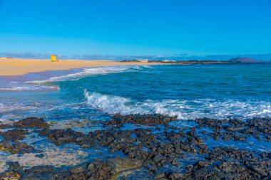 Playa del Moro Fuerteventura 'daki Corralejo kum tepelerinde, Kanarya Adaları, İspanya.