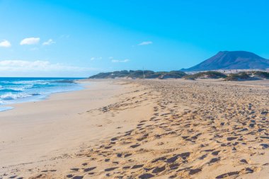 Playa del Moro Fuerteventura 'daki Corralejo kum tepelerinde, Kanarya Adaları, İspanya.