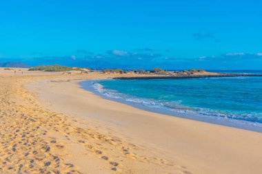 Playa del Moro Fuerteventura 'daki Corralejo kum tepelerinde, Kanarya Adaları, İspanya.