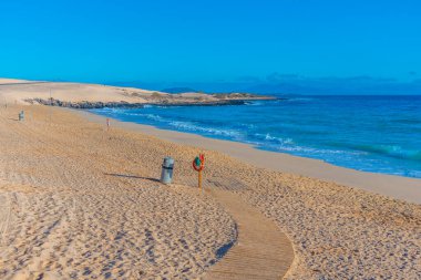 Playa Alzada, Fuerteventura 'daki Corralejo kum tepelerinde, Kanarya Adaları, İspanya.