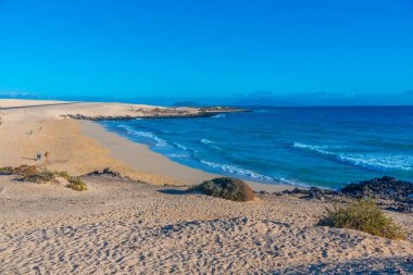Playa Alzada, Fuerteventura 'daki Corralejo kum tepelerinde, Kanarya Adaları, İspanya.