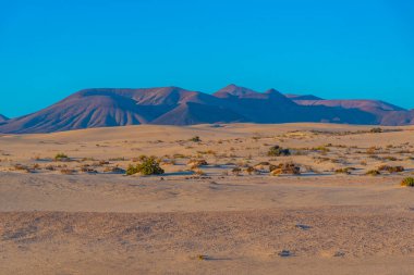 Fuerteventura, Kanarya Adaları, İspanya 'daki Corralejo kum tepelerinin gün doğumu manzarası.