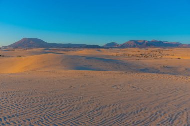 Fuerteventura, Kanarya Adaları, İspanya 'daki Corralejo kum tepelerinin gün doğumu manzarası.