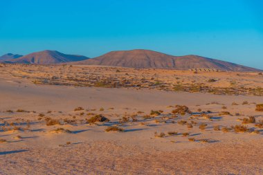 Fuerteventura, Kanarya Adaları, İspanya 'daki Corralejo kum tepelerinin gün doğumu manzarası.