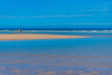 Sotavento, İspanya, Janury 24, 2021: Fuerteventura, İspanya 'daki Sotavento lagününün manzarası.