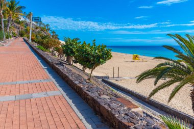 Morro Jable, Fuerteventura, Kanarya Adaları, İspanya Playa de Matorral 'da deniz kenarında gezinti.