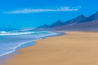 Fuentevertura Kahve Sahili, Kanarya Adaları, İspanya.