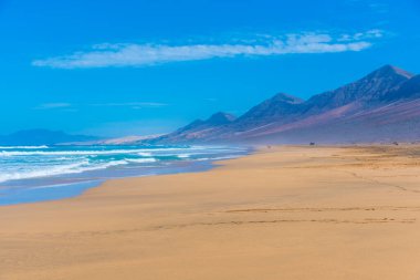 Fuentevertura Kahve Sahili, Kanarya Adaları, İspanya.