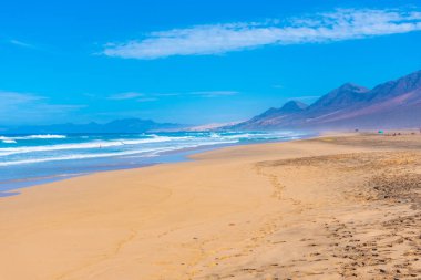 Fuentevertura Kahve Sahili, Kanarya Adaları, İspanya.