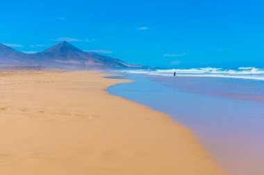 Fuentevertura Kahve Sahili, Kanarya Adaları, İspanya.