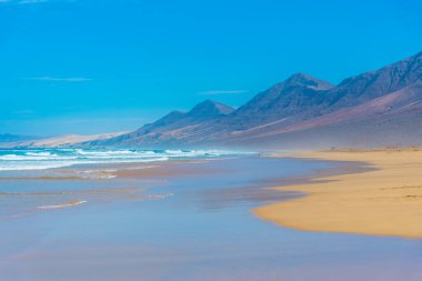 Fuentevertura Kahve Sahili, Kanarya Adaları, İspanya.