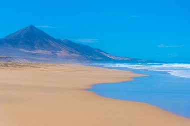 Fuentevertura Kahve Sahili, Kanarya Adaları, İspanya.