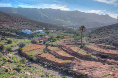 Vega de Rio Palmas Köyü Fuerteventura, Kanarya Adaları, İspanya.