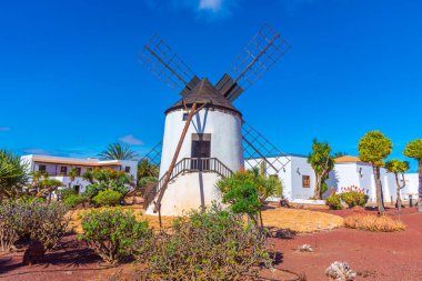 Fuerteventura, Kanarya Adaları, İspanya 'daki Majorero Peynir Müzesi' nde yel değirmeni.