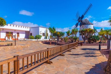 Fuerteventura, Kanarya Adaları, İspanya 'daki Majorero Peynir Müzesi' nde yel değirmeni.
