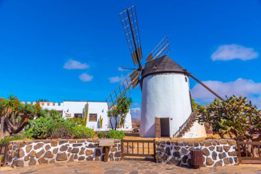Fuerteventura, Kanarya Adaları, İspanya 'daki Majorero Peynir Müzesi' nde yel değirmeni.