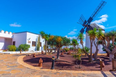 Fuerteventura, Kanarya Adaları, İspanya 'daki Majorero Peynir Müzesi' nde yel değirmeni.