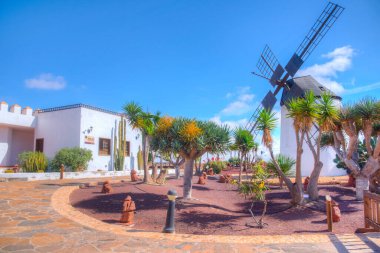 Fuerteventura, Kanarya Adaları, İspanya 'daki Majorero Peynir Müzesi' nde yel değirmeni.