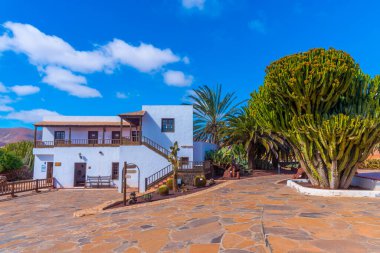 Fuerteventura, Kanarya Adaları, İspanya 'daki Majorero peyniri müzesi..