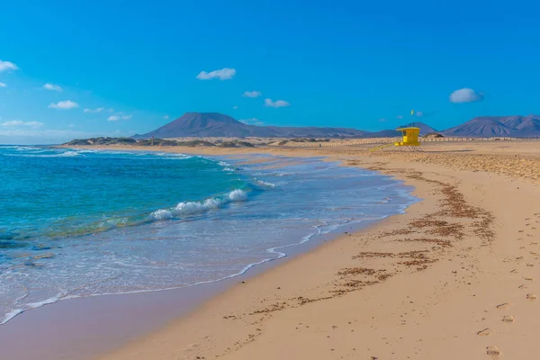 Playa Del Moro Corralejo Sand Dunes Fuerteventura Canary Islands Spain — 스톡 사진