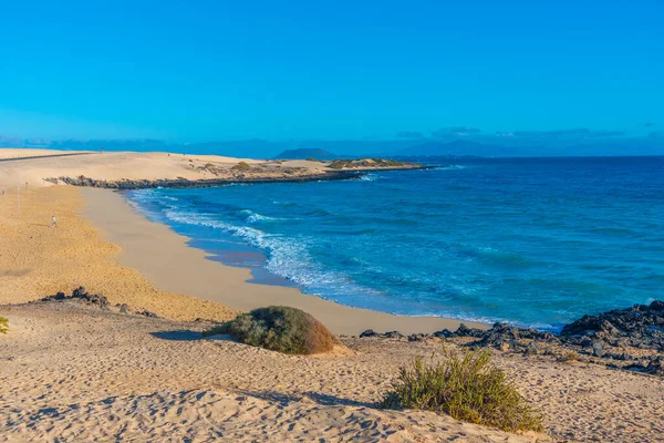 Playa Alzada Corralejo Sand Dunes Fuerteventura Canary Islands Spain — 스톡 사진