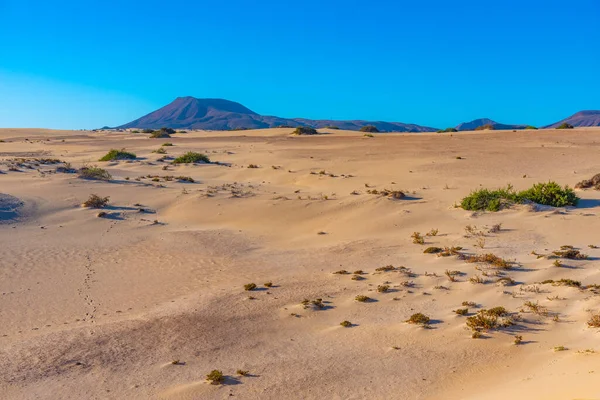 Zonsopgang Uitzicht Corralejo Zandduinen Bij Fuerteventura Canarische Eilanden Spanje — Stockfoto