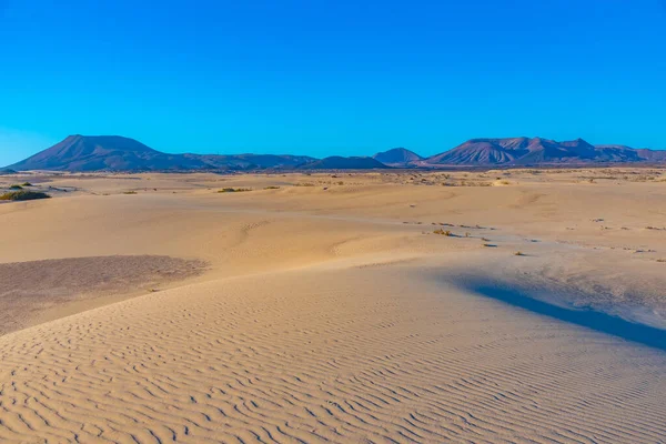 Vista Para Nascer Sol Das Dunas Areia Corralejo Fuerteventura Ilhas — Fotografia de Stock