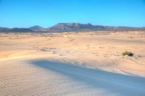 西班牙加那利群岛Fuerteventura Corralejo沙丘的日出景观 — 图库照片