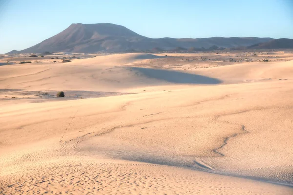 Zonsopgang Uitzicht Corralejo Zandduinen Bij Fuerteventura Canarische Eilanden Spanje — Stockfoto