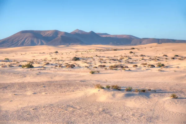 Vista Sull Alba Delle Dune Sabbia Corralejo Fuerteventura Isole Canarie — Foto Stock