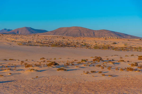 西班牙加那利群岛Fuerteventura Corralejo沙丘的日出景观 — 图库照片