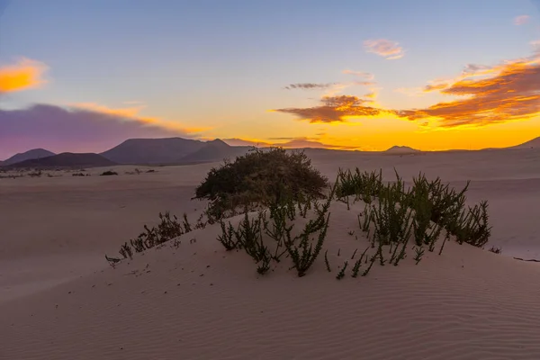 Coucher Soleil Sur Les Dunes Corralejo Fuerteventura Îles Canaries Espagne — Photo