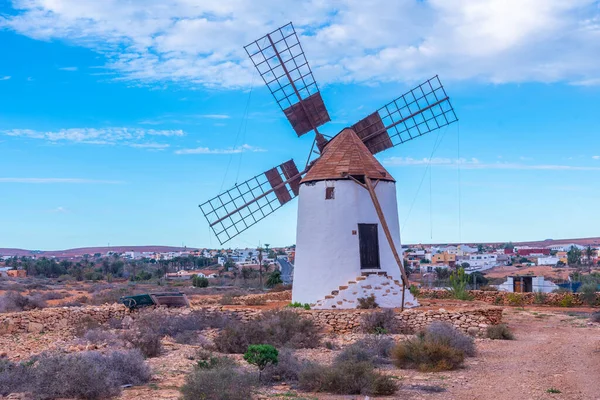 Fuerteventura Szélmalom Kanári Szigetek Spanyolország — Stock Fotó