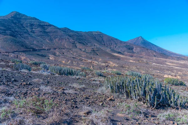 Paysage Aride Fuerteventura Sur Péninsule Jandia Îles Canaries Espagne — Photo
