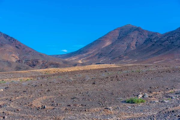 Jandia yarımadasındaki Fuerteventura çorak arazisi, Kanarya adaları, İspanya.