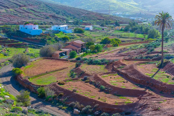 Vega Rio Palmas Village Fuerteventura Canary Islands Ισπανία — Φωτογραφία Αρχείου