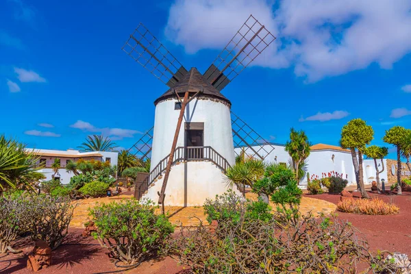 スペイン カナリア諸島フエルテベントゥラ島のマジョレーロチーズ博物館の風車 — ストック写真