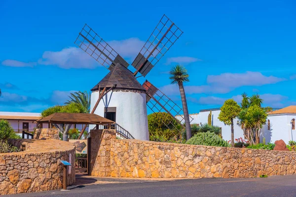 Fuerteventura, Kanarya Adaları, İspanya 'daki Majorero Peynir Müzesi' nde yel değirmeni.