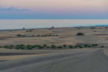 Maspalomas, Gran Kanarya, Kanarya Adaları, İspanya 'da kum tepeleri üzerinde gün batımı.