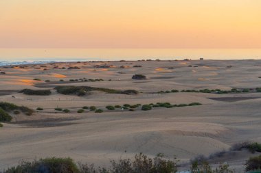 Maspalomas, Gran Kanarya, Kanarya Adaları, İspanya 'da kum tepeleri üzerinde gün batımı.