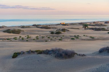 Maspalomas, Gran Kanarya, Kanarya Adaları, İspanya 'da kum tepeleri üzerinde gün batımı.
